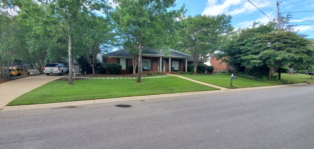 Driveway, Walkway, & Curb Cleaning In Tuscaloosa, AL