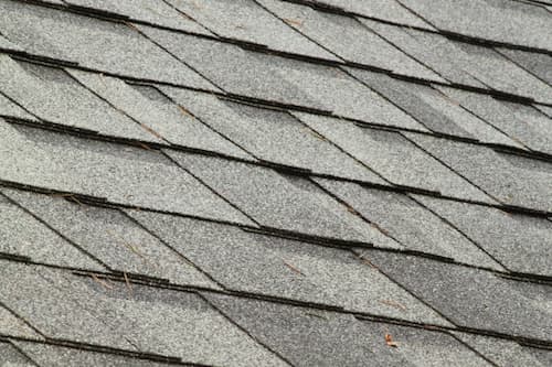 Roof cleaning