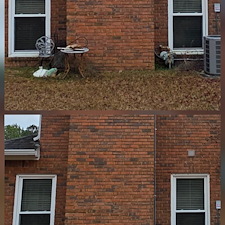 Exceptional-Window-Cleaning-Soft-Wash-in-Tuscaloosa-AL 3