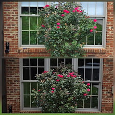 Gleaming-Bi-Annual-Window-Cleaning-in-Tuscaloosa-AL 1