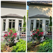 Gleaming-Waterfed-Pole-Window-Cleaning-in-Adger-AL 3