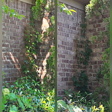 Incredible-House-Wash-InteriorExterior-Window-Cleaning-in-Tuscaloosa-AL 8
