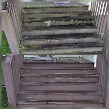 Professional-House-Wash-Concrete-Cleaning-in-Jasper-AL 9