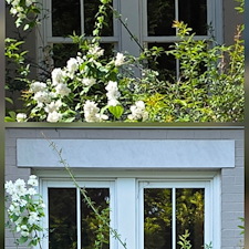 Remarkable-Porch-Soft-Wash-InteriorExterior-Window-Cleaning-in-Hoover-AL 8