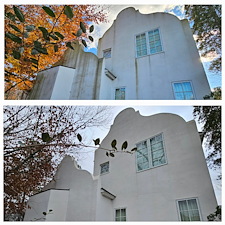 Unbelievable-Low-Pressure-Soft-Wash-Concrete-Cleaning-in-Vestavia-Hills-AL 5