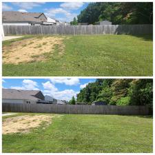 WOODEN-PRIVACY-FENCE-CLEANING-IN-TUSCALOOSA-AL 1