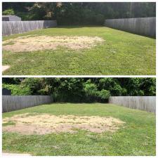 WOODEN-PRIVACY-FENCE-CLEANING-IN-TUSCALOOSA-AL 2